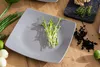 A square gray plate with sprouts on it, surrounded by ingredients like green onions, lime, and ginger on a wooden table. Náhled obrázku produktu