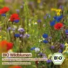 Samenliebe  Wildblumen Samen | Wildblumen & Wildkräutern - Produktbild-Vorschau 4