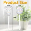 4 x Bewässerungskugeln transparent 26 cm Produktbild-Vorschau 4