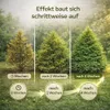 Koniferendünger 20kg NPK 5-9-12 Thuja Hecke Zypresse Produktbild-Vorschau 5
