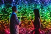 Twinkly|Strings Smart LED Lights 400 RGBW (Multicolor + Podgląd zdjęcia produktu 8