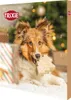 Trixie Adventskalender Weihnachtskalender für Hunde Produktbild-Vorschau 1