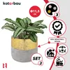 A plant in a decorative pot with various marketing icons and text. Podgląd zdjęcia produktu