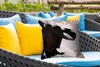 MuchoWow® Outdoor Kissen - Farbe - Design - Abstrakt - Produktbild-Vorschau 4