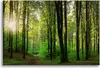 Plátno nástěnný obraz do ložnice stromy zelený les 80x120cm Náhled obrázku produktu 1