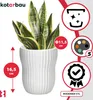 KOTARBAU® 2 szt. doniczka biała wewnątrz okrągła ⌀ 11,5 cm Podgląd zdjęcia produktu 4