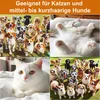 Haustier Föhn Bürste 3-in-1, Hunde & Katzen, Temperatur Produktbild-Vorschau 2