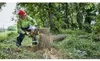 DeWalt DCMCS574N-XJ Akku-Kettensaege, 45cm, 54V, Produktbild-Vorschau 7
