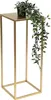 A gold square plant stand with a potted plant on top. Náhľad obrázku produktu