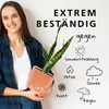 Blumentopf Groß Rosa, Übertopf 1L, Pflanzentopf Geriffelt Produktbild-Vorschau 2