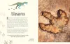 Wundervolle Welt der Dinosaurier und der Urzeit Productafbeelding-voorbeeld 7