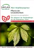 Artikelbild 1 von 'Pflanze der Unsterblichkeit' aus der Kategorie Exotische Samen Voir les images du produit