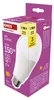 LED žárovka Classic A80 / E27 / 20 W (150 W) / 2452 lm / teplá bílá Anteprima dell’immagine prodotto
