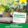 Neudorff SF Nematoden gegen Trauermücken - 5 Mio - für 50 Produktbild-Vorschau 8