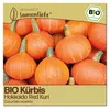 Samenliebe  Kürbis Samen | Red Kuri - nussiger - Produktbild-Vorschau 1
