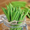 SPERLI Stangenbohnensamen Matilda Phaseolus vulgaris 15-20 Produktbild-Vorschau 5
