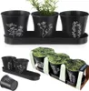 Orion vaso per erbe aromatiche Vaso per piante aromatiche Anteprima dell’immagine prodotto 1