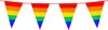 Chaîne de fanions arc-en-ciel Voir les images du produit 2