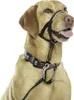Collare da dressage per cani Compagnia degli Animali Halti Anteprima dell’immagine prodotto 4