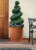 BAMA Blumentopf ROMA, 35L, Terrakotta Produktbild-Vorschau 2