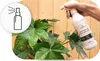 Kalinova | Blattdünger Spray - 500ml - für grüne Pflanzen - Produktbild-Vorschau 4