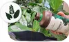 Biohumus für Zimmerpflanzen - 1L - 100% natürlich - fördert Produktbild-Vorschau 5