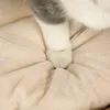 A close-up view of a cat's paw resting on a soft, beige surface. Produktbild-Vorschau