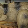 Toi-Toys 31510A - Svet dinosaurov - Dino T-Rex (chodiaci, Náhľad obrázku produktu 10