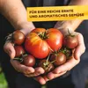Solabiol Tomatendünger - 1,5 kg Produktbild-Vorschau 10
