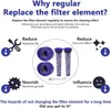 Diagram explaining why regular replacement of vacuum cleaner filter elements is important, with illustrations of filters and icons representing reduced machine life, vacuum effect, bacterial growth, and experience. Produktbild-Vorschau