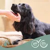 Beaphar - Hunde Shampoo für schwarzes Fell - 250 ml Produktbild-Vorschau 6