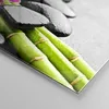 Bilder auf glas - Pflanze Steine Bambus Spa - 50x50cm - Produktbild-Vorschau 5