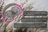Unold NACKENVENTILATOR BREEZY mit zwei Lüftern und flexiblem Schwanenhals liegt auf einer Wiese. Tex Podgląd zdjęcia produktu