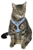 Kerbl Katzengeschirr Active blau inkl. Leine 120cm, Voir les images du produit 3