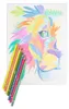 Crayons de couleur 50 couleurs pastel ASTRA Voir les images du produit 13