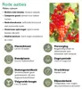 Plants by Frank | Fruchtparadies  Obstpflanzen Mix | Produktbild-Vorschau 8