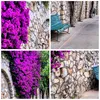 Bilder auf glas - Pflanzen Bank Straße Sommer - 90x30cm - Produktbild-Vorschau 8