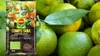Terreau pour Agrumes - 10L - Qualité Allemande - Rétention Voir les images du produit 8