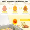 Vollautomatischer Inkubator 36 Digital Clear Egg Inkubator, Produktbild-Vorschau 6