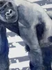 style3 Gorilla Kinder T-Shirt safari zoo dschungel sommer Produktbild-Vorschau 2