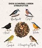 Dehner Natura Premium Wildvogelfutter, Streufutter, Produktbild-Vorschau 4