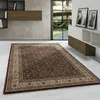 Carpetsale24 Orientální Koberec Klasický Styl do Obývacího Náhľad obrázku produktu 1