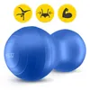 4FIZJO Gymnastikball Peanut, Erdnussball für Fitness & Produktbild-Vorschau 3