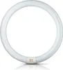 Philips Leuchtstoffröhre MASTER TL-E Circular - C-T9, 830 Produktbild-Vorschau 1