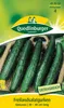 Artikelbild 2 von 'Salatgurke Gergana' aus der Kategorie Salatgurkensamen Produktbild-Vorschau