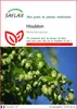 SAFLAX  - Houblon - 50 graines - Humulus Voir les images du produit 1