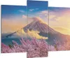 Bild auf Leinwand - Leinwandbild - 3 Teile - Fuji Blume Produktbild-Vorschau 1