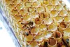 NATURAL FOOD Gelée Royale - Roher Royal Jelly - 2,2% 10-HDA Produktbild-Vorschau 3