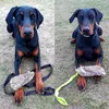 Jouet pour chien Dingo en Fourrure artificielle + poignée Voir les images du produit 8