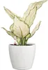 Lechuza Obal Classico Color Deco, průměr 10 cm, bílá Náhled obrázku produktu 14